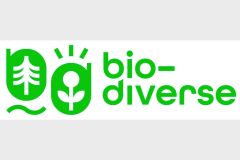 Dizajn bez názvu - 1