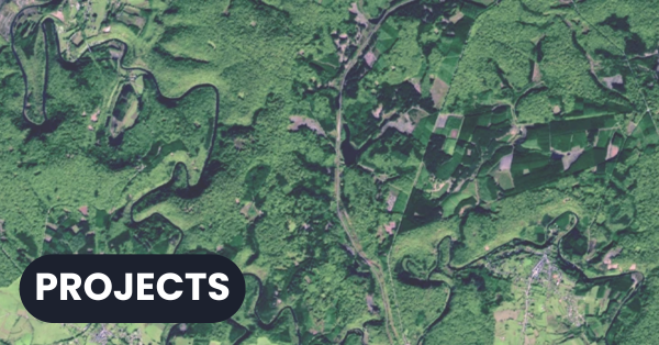 Workshop of the SenseForest Project (Biodiversa+)