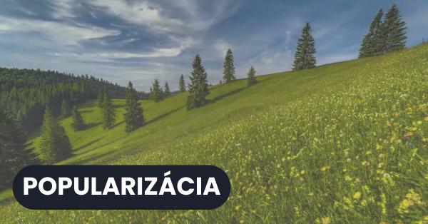 Príbehy z Kopaneckých lúk